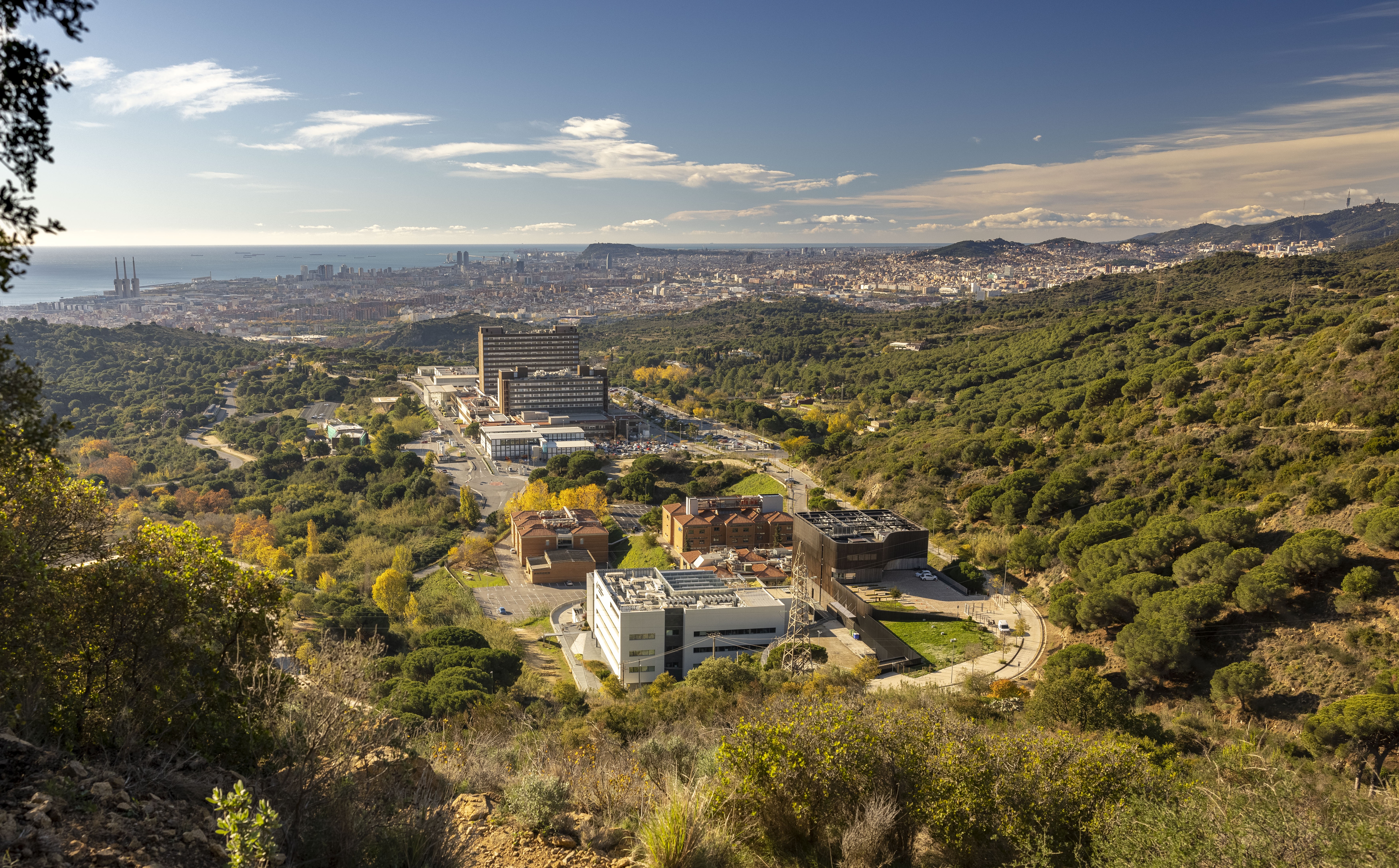Aerial view of the Can Ruti Campus at Badalona